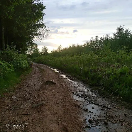 Li Pitite Magrite Prázdninový dům