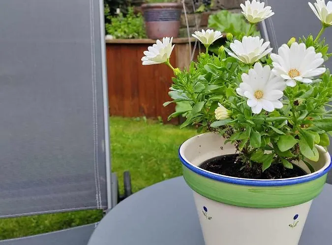 Li Pitite Magrite Manhay